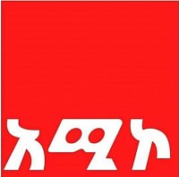 Amhara TV